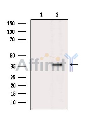 Валидация Affinity DF10210 - 5769