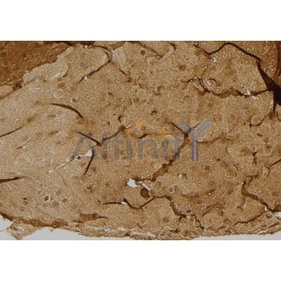 Валидация Affinity DF4479 - 16013