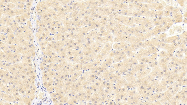 Валидация AssayVector ARM2534(4555)