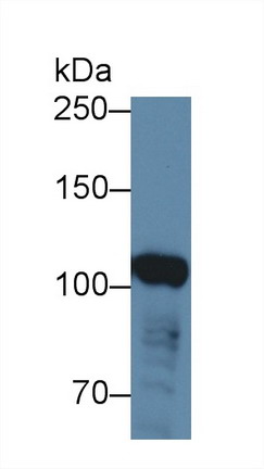 8948