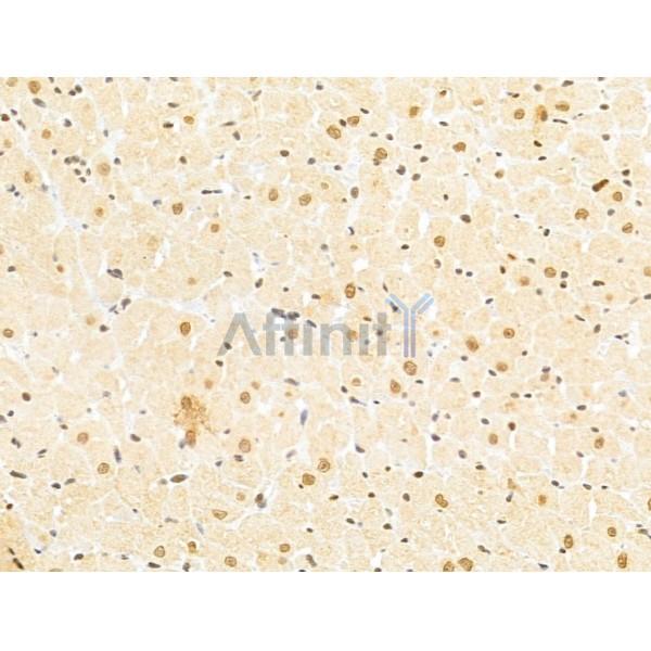 Валидация Affinity DF12175 - 6389