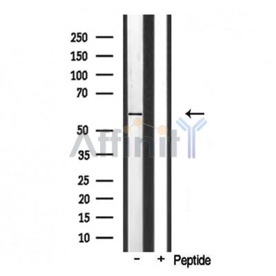 Валидация Affinity DF3566 - 14517