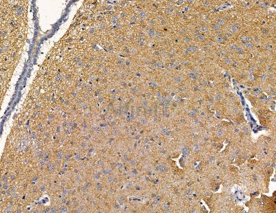 Валидация Affinity DF13839 - 9536