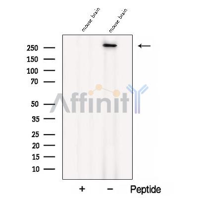 Валидация Affinity DF12872 - 7608