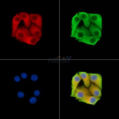 Валидация Affinity DF15036 - 11254