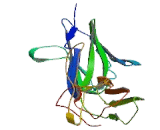 Cluster Of Differentiation 226 (CD226) Cluster Of Differentiation 226 (CD226)