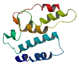 Olfactory Receptor 51E2 (OR51E2)