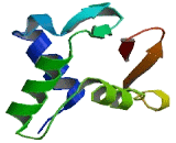 Spi-C Transcription Factor (SPIC) Spi-C Transcription Factor (SPIC)