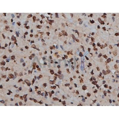 Валидация Affinity AF6187 - 3414