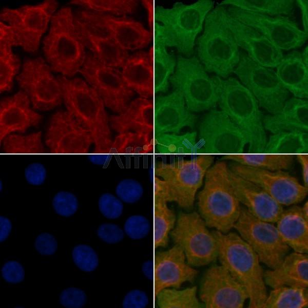 Валидация Affinity DF5151 - 17116