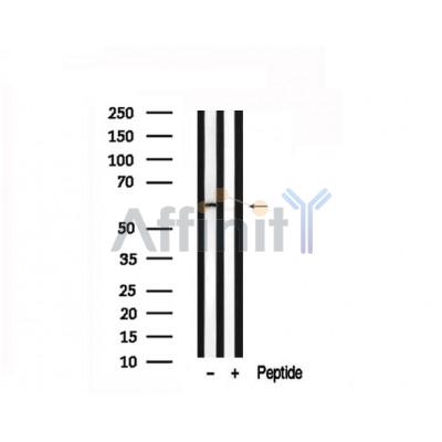 Валидация Affinity AF7549 - 4210