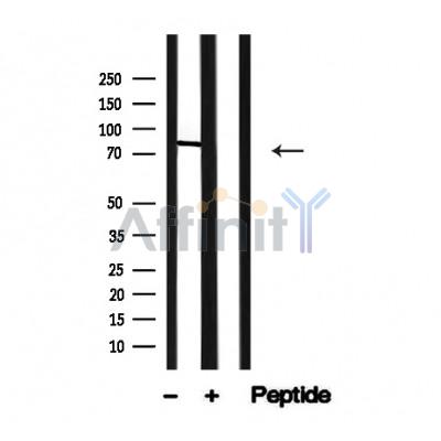 Валидация Affinity AF4699 - 2315
