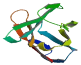 T-Cell Receptor Beta (TCRb) T-Cell Receptor Beta (TCRb)