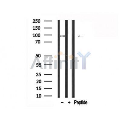 Валидация Affinity AF7720 - 4413