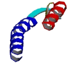 G Protein Coupled Receptor 141 (GPR141) G Protein Coupled Receptor 141 (GPR141)