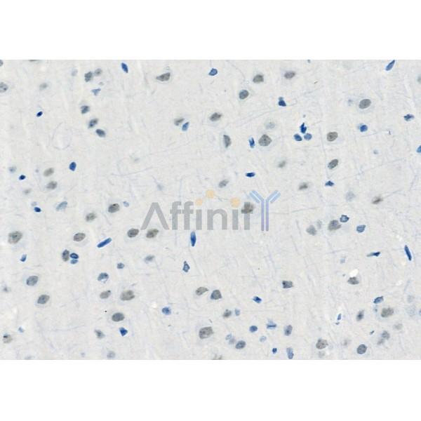 Валидация Affinity DF4911 - 16716