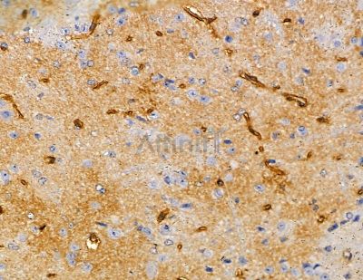 Валидация Affinity DF9297 - 21755