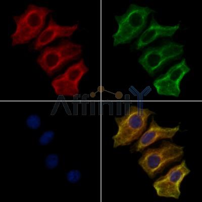 Валидация Affinity DF13171 - 8145