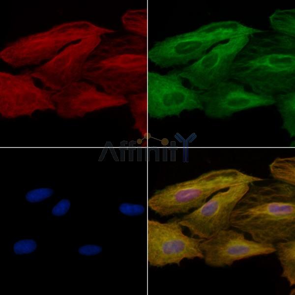 Валидация Affinity DF10325 - 5947