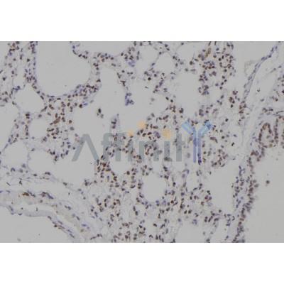 Валидация Affinity DF6977 - 18606