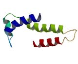 Taste Receptor Type 2 Member 13 (TAS2R13) Taste Receptor Type 2 Member 13 (TAS2R13)
