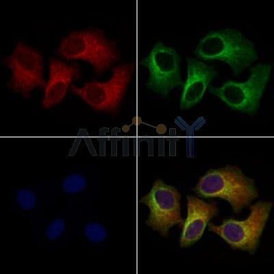 Валидация Affinity DF13572 - 9035