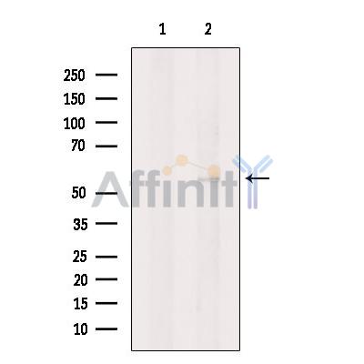 Валидация Affinity DF13412 - 8699