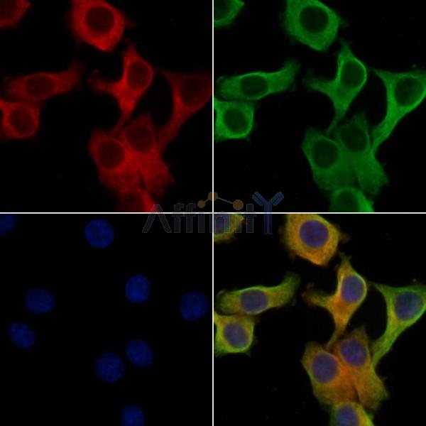 Валидация Affinity DF2612 - 13303