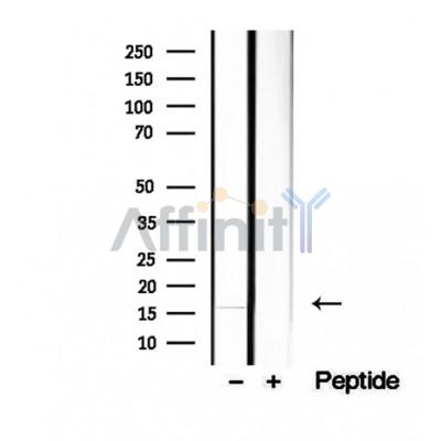 Валидация Affinity DF12277 - 6622