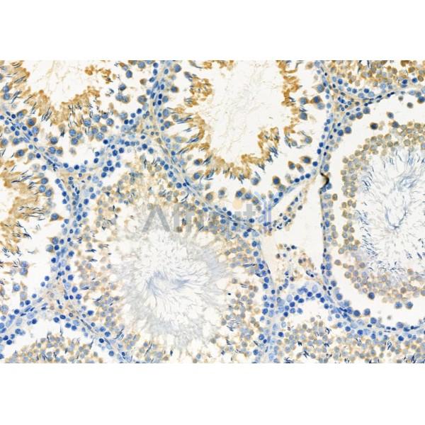 Валидация Affinity DF6901 - 18496