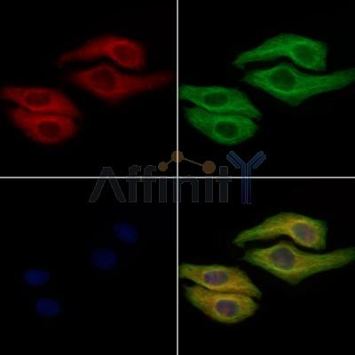 Валидация Affinity DF6411 - 17778