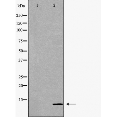 Валидация Affinity DF6380 - 17738