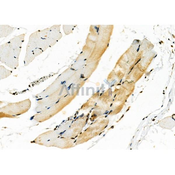 Валидация Affinity DF8414 - 20287