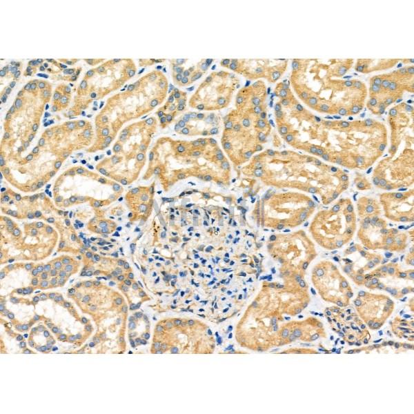 Валидация Affinity DF6921 - 18523