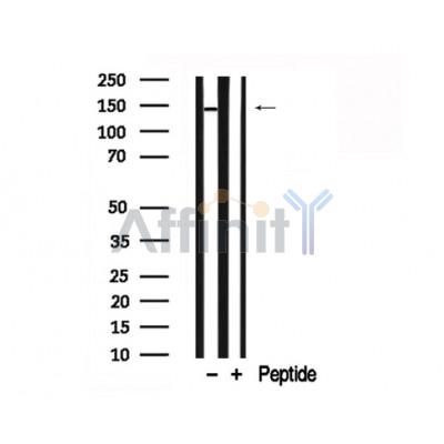 Валидация Affinity AF7765 - 4472