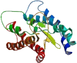 Taste Receptor Type 2 Member 1 (TAS2R1) Taste Receptor Type 2 Member 1 (TAS2R1)