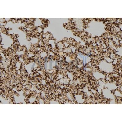 Валидация Affinity DF6309 - 17631