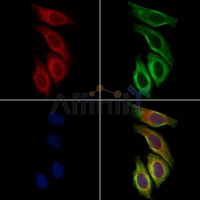 Валидация Affinity DF6137 - 17368