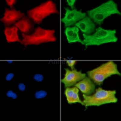 Валидация Affinity DF13787 - 9460