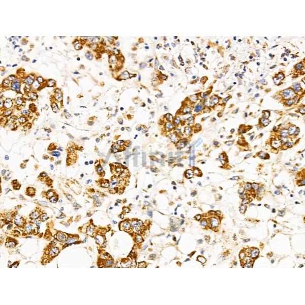 Валидация Affinity AF5373 - 2995