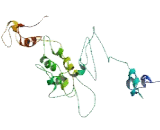 Membrane Progestin Receptor Alpha (MPRa) Membrane Progestin Receptor Alpha (MPRa)
