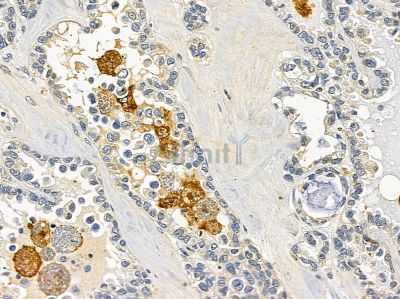 Валидация Affinity DF8350 - 20205