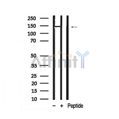 Валидация Affinity AF7906 - 4652