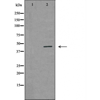 Валидация Affinity DF6066 - 17279