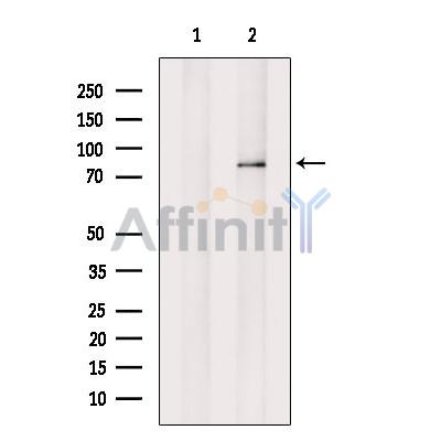 Валидация Affinity DF13320 - 8487