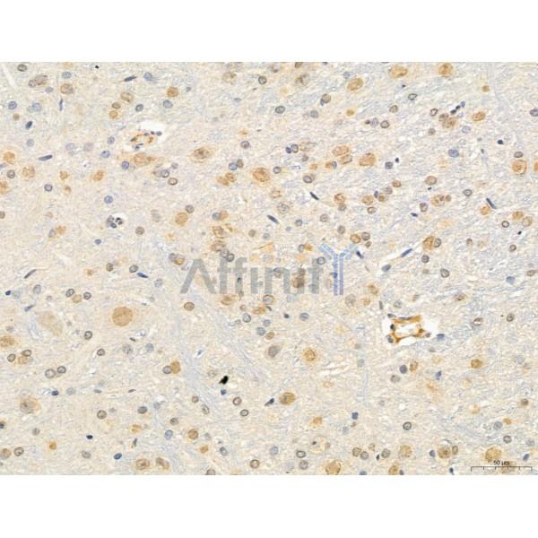 Валидация Affinity DF12128 - 6285