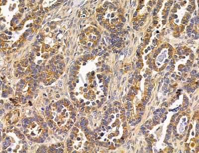 Валидация Affinity DF15027 - 11239