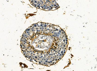 Валидация Affinity DF14459 - 10435