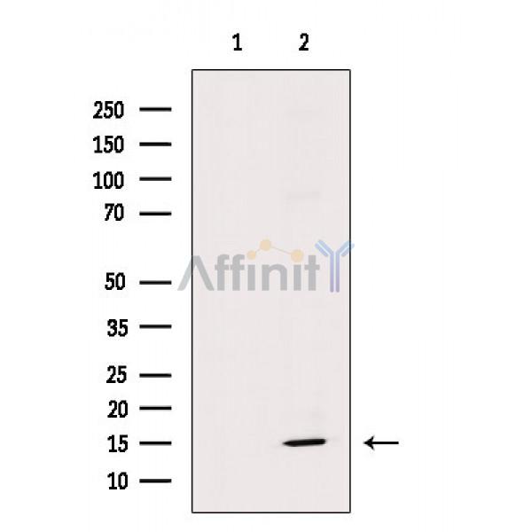 Валидация Affinity AF6787 - 4030