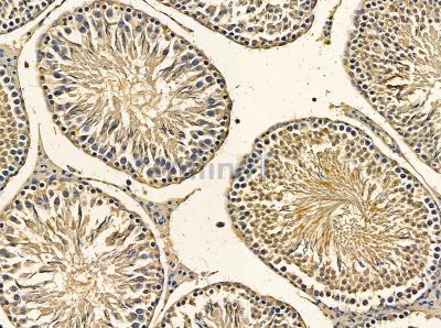 Валидация Affinity DF13853 - 9563